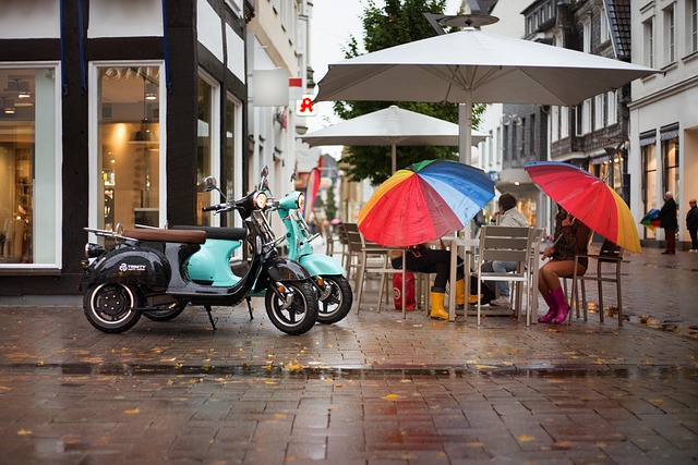 Cargo Electric Scooters
